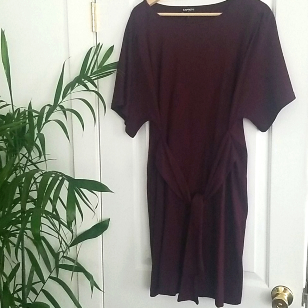 Beautiful Express Tie Mini Dress